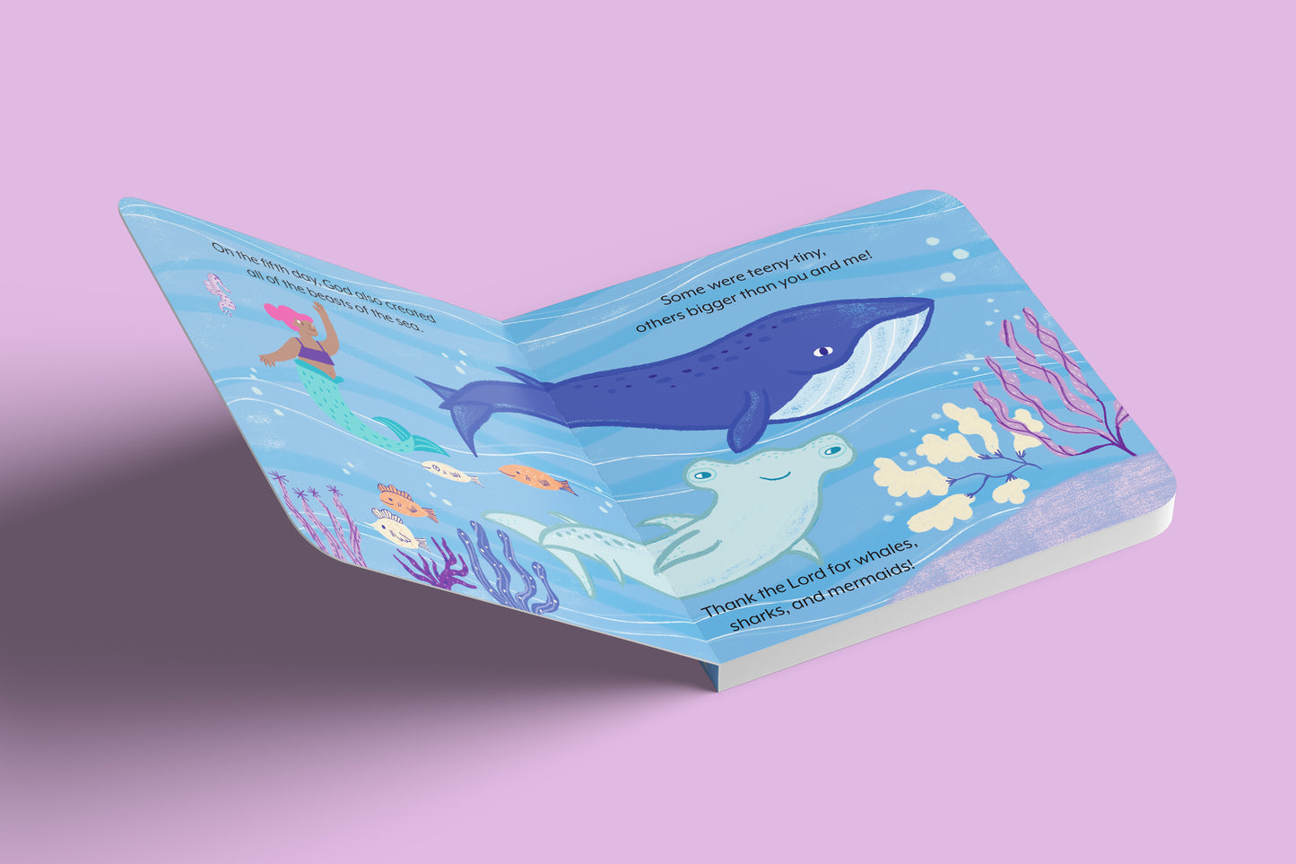 "Thank the Lord!" Series: Divine Creation Children's Board Books